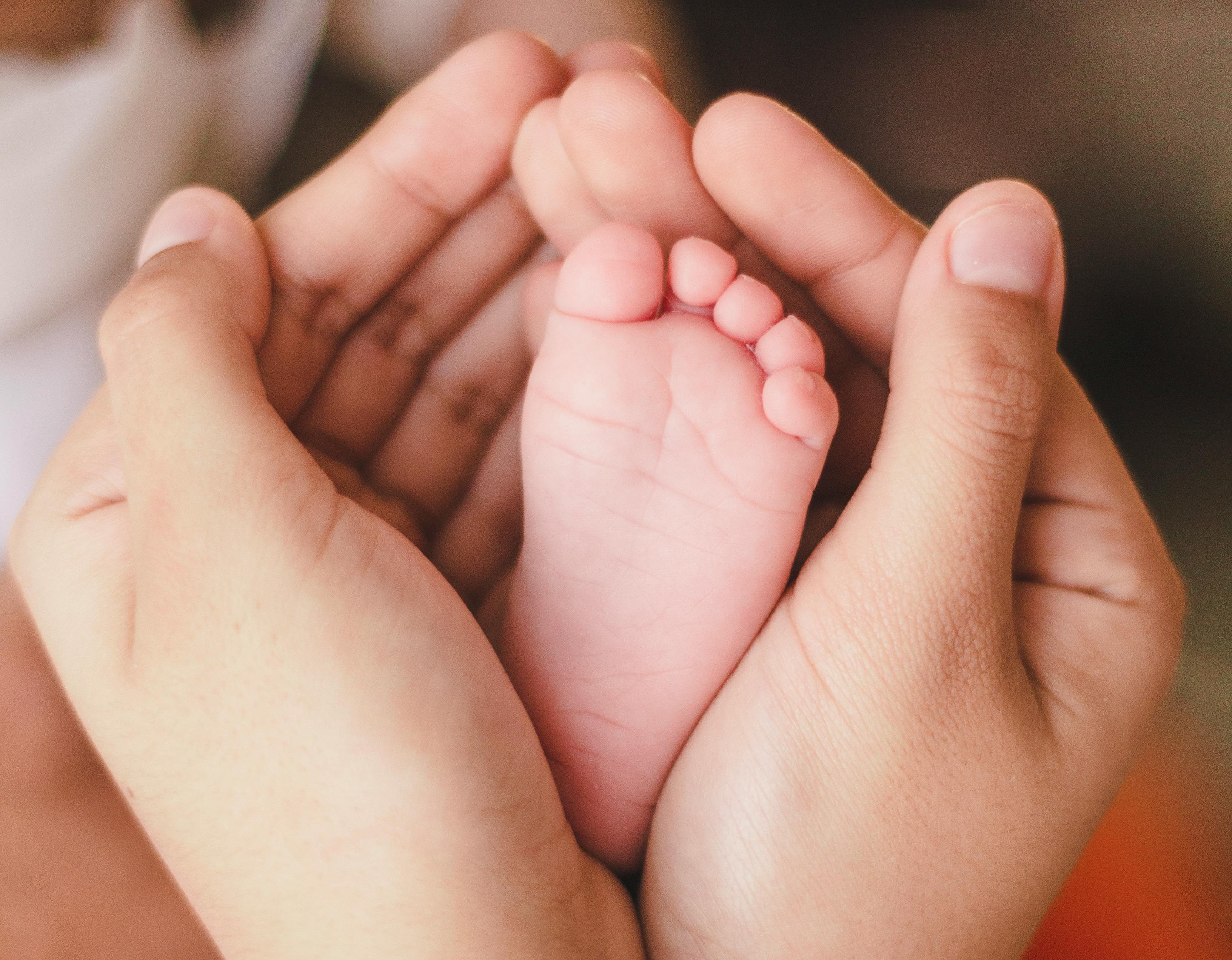 Niño Semillas de Amor